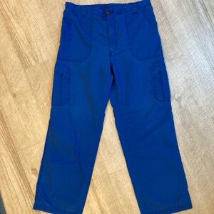 Carhartt Blue Cargo Pants